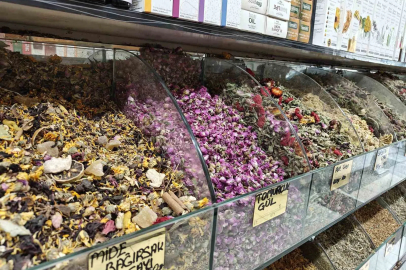 Bahar Alerjisine ve Nezlelerine Karşı Zencefil Mucizesi