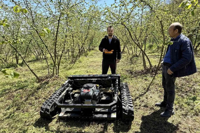 Fındık Bahçelerine 450 Bin TL'lik İnsansız Ot Biçme Robotu
