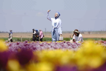 15 Milyon Lalenin Görsel Şöleni Kapılarını Ziyaretçilere Açtı