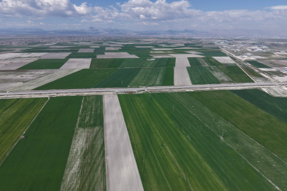 Konya Ovası'nda Bahar Yağışları Rekolte Beklentisini Artırdı