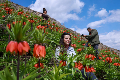 Muş'ta 'Ağlayan Gelin' Şöleni: Koparmanın Cezası 700 Bin TL