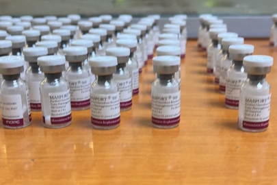 Sınırda Botoks Kaçakçılığı: Şoförün Cebinden 119 Şişe Çıktı