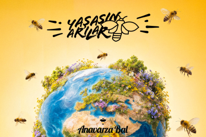 Türkiye’den İlk: “Yaşasın Arılar Departmanı” Kuruldu