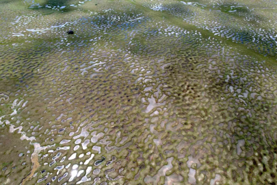 Taraklı'nın Zirvesindeki Büyülü Tablo: Karagöl Yaylası