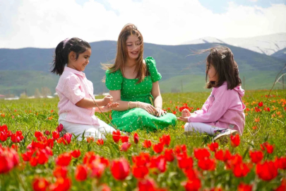 Muş Ovası Kırmızıya Büründü: Endemik Laleler Çiçek Açtı