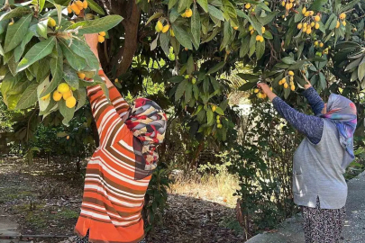 Alanya'da İsraf Olmasın Diye Yeni Dünyaları Ücretsiz Dağıtıyor