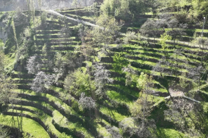 2 Dönümden 8 Dönüme: Yamaçta Yazılan Efsane
