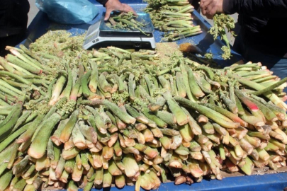 Erzincan’da “Işkın” Tezgâhta: Fiyatı Dikkat Çekti