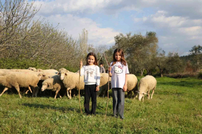 Lapseki'de "Boğazın Minik Çobanları" Projesi Başlıyor
