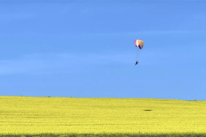 Kanola Tarlaları Üzerinde Görsel Şölen