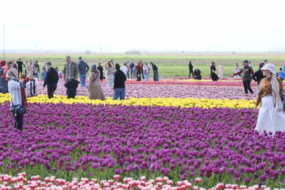 Karaman'daki Lale Tarlasını 400 Bin Kişi Gezdi