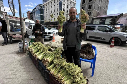 Yayla Muzu Uçkunun Destesi 150 Liradan Satışta