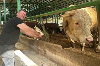 Bursa'da 1 Tonluk Dev Kurbanlık 400 Bin Liraya Satıldı