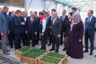 Binali Yıldırım Erzincan Toplu Sera Bölgesi'ni İnceledi