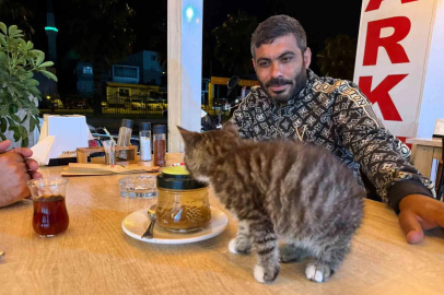 Yavru Kediyle Bağımlılıktan Kurtuldu