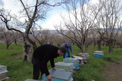 Kars'ta Dededen Toruna Arıcılık Mesaisi Başladı
