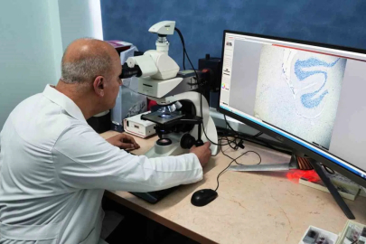 Alzheimer ve Parkinson Tedavisinde Dünyada Bir İlk