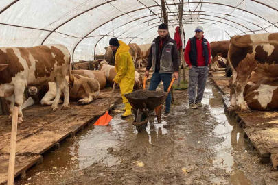 Kocaeli'de Kiraz Çayı Taştı: Kurban Pazarı Sular Altında