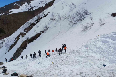 Artvin'deki Çığ Felaketi: Kayıp Çobana 125 Gün Sonra Ulaşıldı
