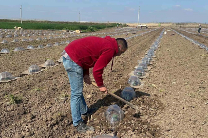 Tarım İşçilerinin En Zor Mesaisi: Karpuz
