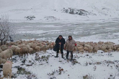 Kar ve Heyelanda Mahsur Kalan Çobanlar Sürülerini Bırakmadı