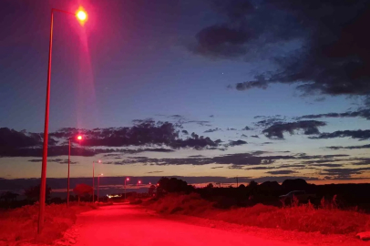 Sahillerde Caretta Carettalar İçin Kırmızı Işık Dönemi