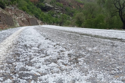 Erzincan’da Mayıs Sürprizi: Dolu Yağışı Etkili Oldu