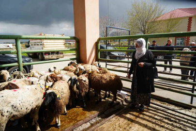 Kırsaldaki Kadınlara 40 Milyon TL'lik Dev Hayvancılık Desteği