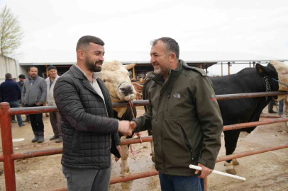 Pazarda Rekor: Dev Tosun Dudak Uçuklatan Fiyata Gitti