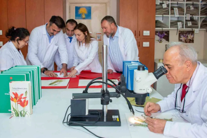 Toroslar'da 4 Yeni Kayagülü Türü Bilim Dünyasına Kazandırıldı