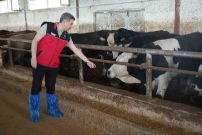 Muş'tan Batı İllerine 50 Bin Kurbanlık Sevkiyatı Başladı