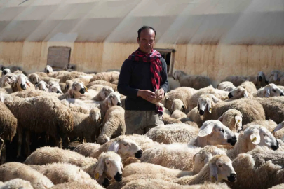 Ekmek Parası İçin Kırıkkale'ye: Afgan Çobana 60 Bin TL Maaş