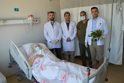 Mardin'de Şifa Diye Yediği Ot Organlarını Vurdu: Öldüm Dirildim