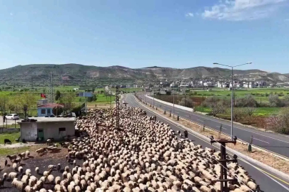 Nusaybin’den Erzurum Yaylalarına Uzanan Görsel Şölen