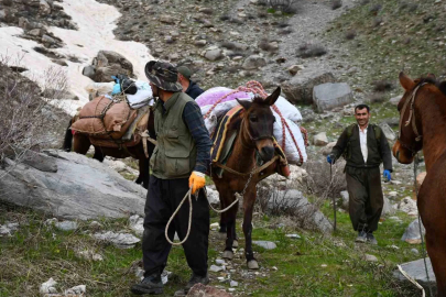 3 Bin Rakımda Şifa Mesaisi: Şırnak'ın Hıngedan Otu Kilosu 200 TL