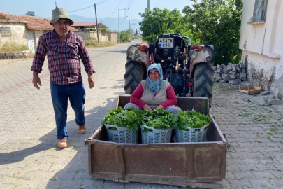 Üzümden önce yaprak kazandırdı
