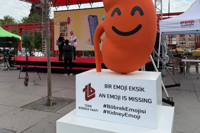 Türkiye’den dijital dünyaya çağrı: Böbrek sağlığının da emojisi olsun
