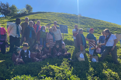 Rize’de çay hasadı şenlikle karşılandı
