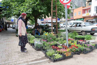 Yayla sezonu öncesi ata tohumu fidelerine yoğun talep
