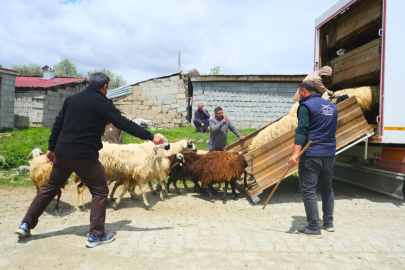Erzincan’da yayla yolculuğu başladı
