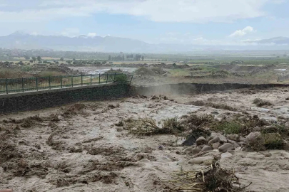 Aşırı yağışlarla debisi artan dereler tarım arazileri sular altında bıraktı
