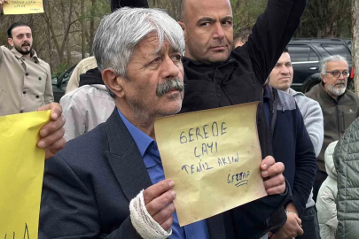 Fabrikaların zehrini kustuğu Gerede Çayı ölüyor: Köylüler ayaklandı
