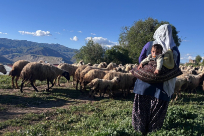 Şavakların yayla mücadelesi: Tulum peynirinin arkasındaki emek