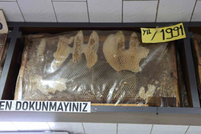 Görenler dönüp bir daha bakıyor, 35 yıllık bal çerçeveleri dikkat çekiyor
