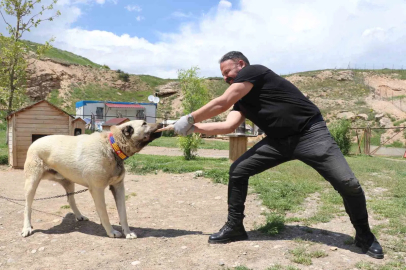 Kemiği kraker gibi yediler
