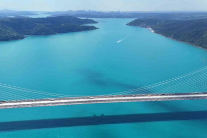Turkuaza dönen İstanbul boğazında yunuslar akın etti
