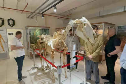 34 bin hayvanın sergilendiği Zooloji Müzesi açıldı
