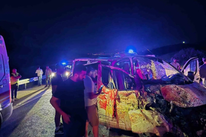 Bingöl’de panelvan yola çıkan ata çarptı: 1 ölü, 2 yaralı