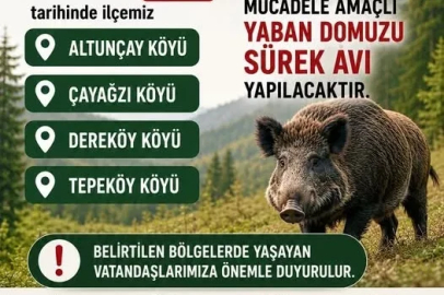 Akçakoca’da domuz avı yapılacak

