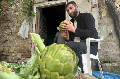 Enginar soyarak ayda 240 bin lira kazanıyor
